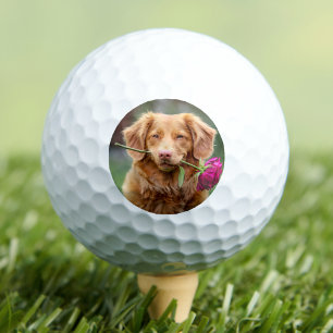 Create your Own Photo Golf Balls