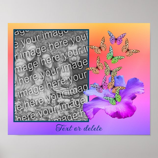 Create Your Own Photo Hibiscus And Butterfly Frame Poster (Front)