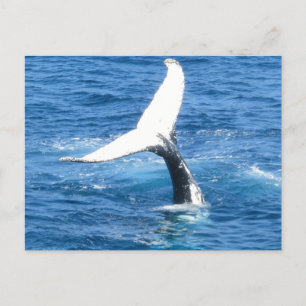 Create Your Own Photo Holiday Post Card