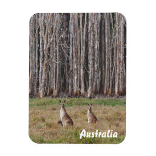 Create your own photo magnet