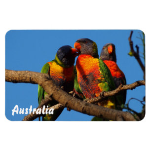 Create your own photo magnet