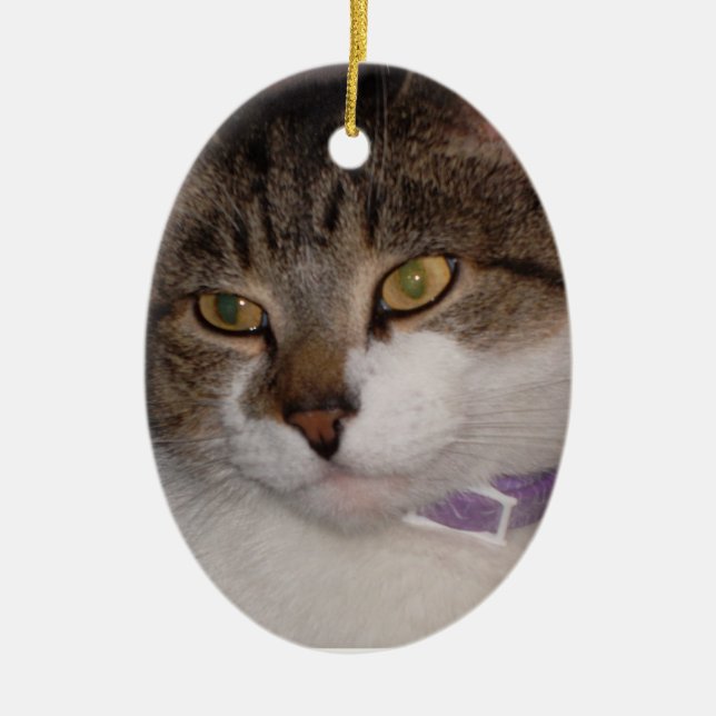 Create your own photo Oval Ornament Template (Front)