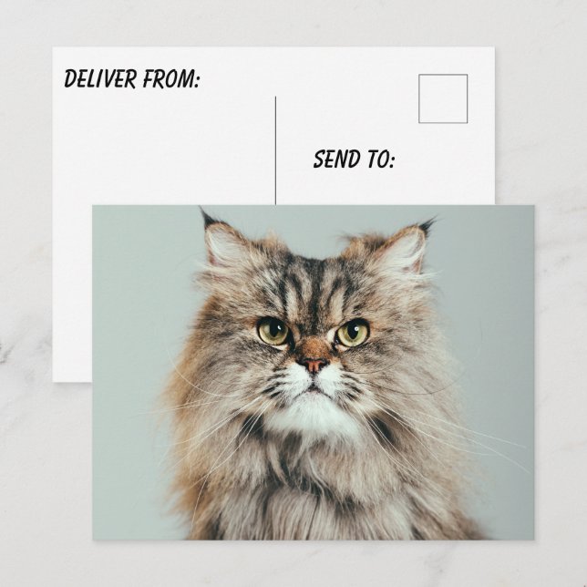 Create Your Own Photo  Postcard (Front/Back)