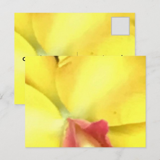 CREATE YOUR OWN POSTCARDS (Front/Back)