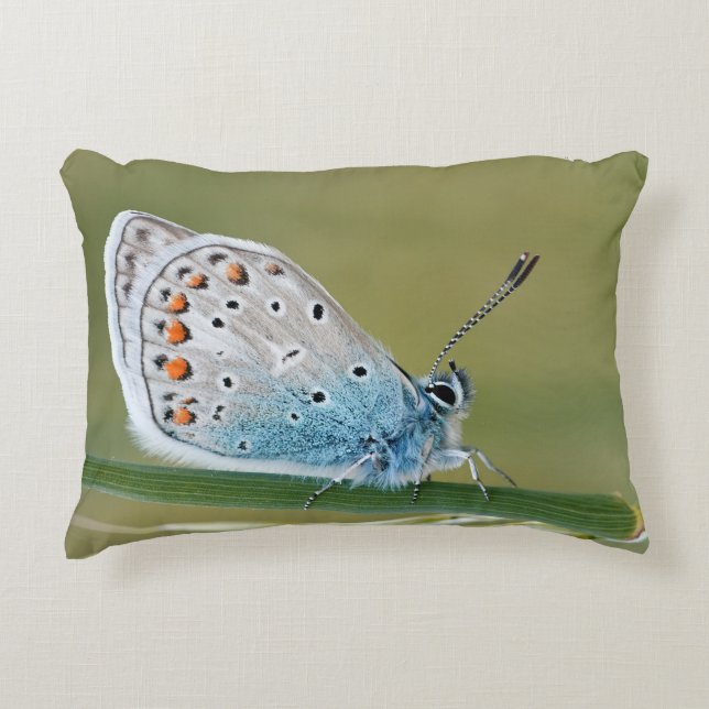 Create Your Own Simple Custom 13" x 21" Decorative Cushion (Front)