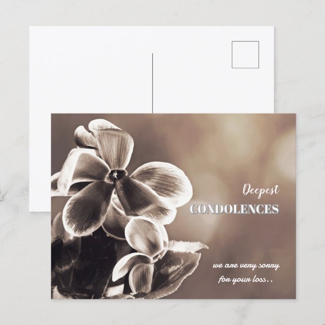 Create Your Own Simple Template Sympathy Postcard (Front/Back)