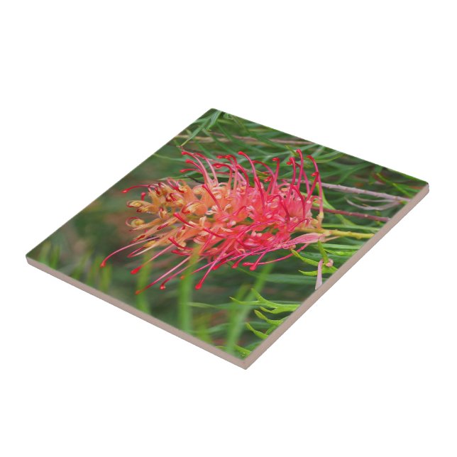 Create your own square tile -  Grevillea (Side)