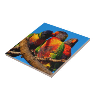 Create your own square tile - Rainbow Lorikeet