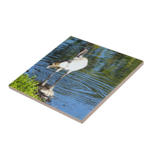 Create your own square tile - White Ibis