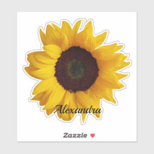 Create Your Own Sunflower Personalized Name