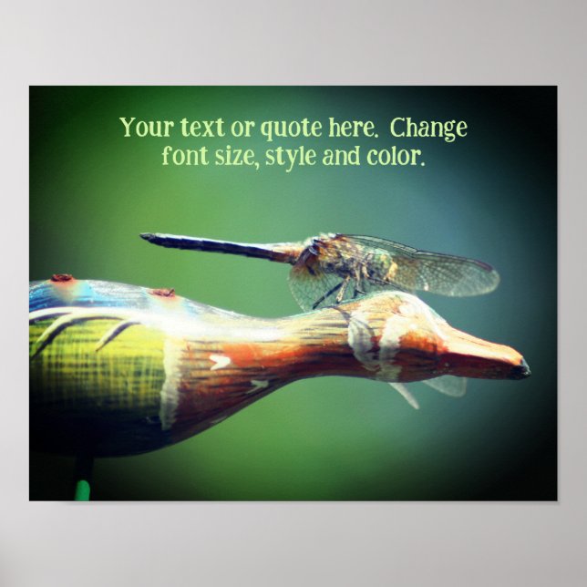Create Your Own Text Dragonfly Nature  Poster (Front)
