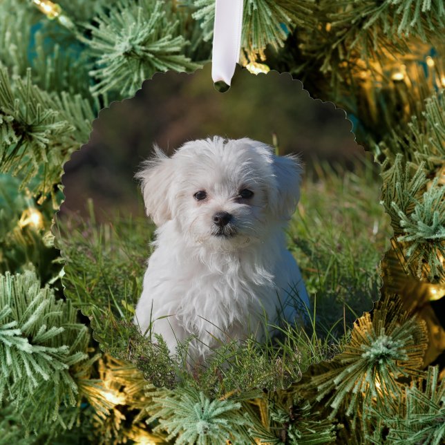 Create Your Own Two-sided Dog Photos Tree Decoration Card (Insitu (Tree))