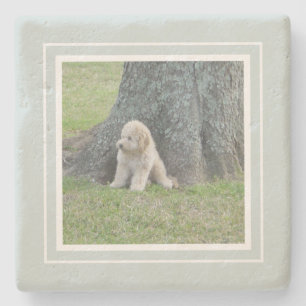 Create Your Own Your Photo Farmhouse Green & White Stone Coaster