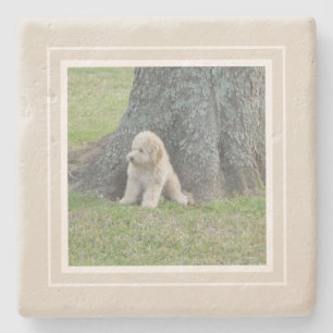 Create Your Own Your Photo Farmhouse Tan & White Stone Coaster