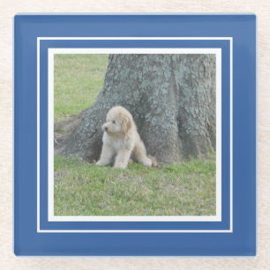 Create Your Own Your Photo Template Blue & White Glass Coaster