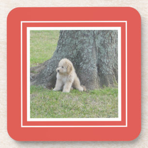 Create Your Own Your Photo Template Coral & White Coaster