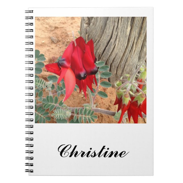 Create your Sturt's Desert Pea notebook (Front)