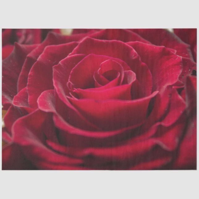 Created for you elegant photo greeting personalise tissue paper (Front)