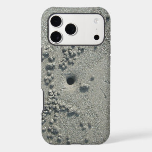 Creaters in Mars Hakuna Matata.JPG