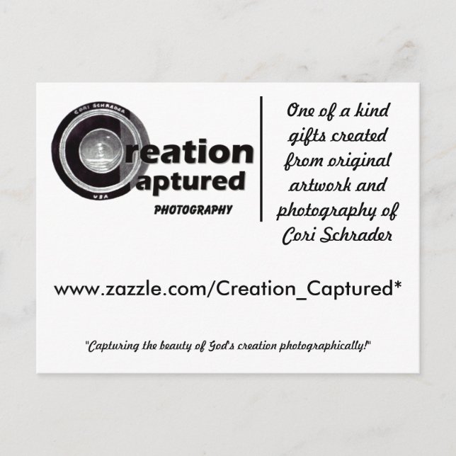 Creation Captured Photography Postcard (Front)