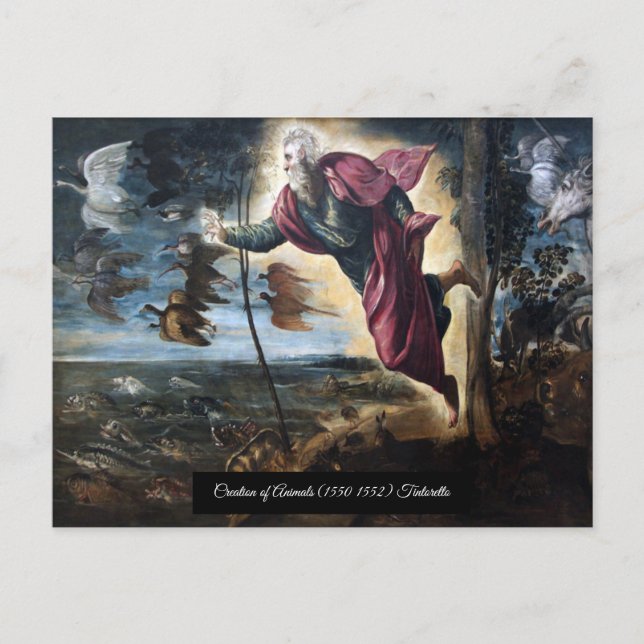 Creation of Animals Postcard (Front)