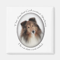 Creation of Shelties