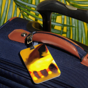 Creation of the dragon cat luggage tag