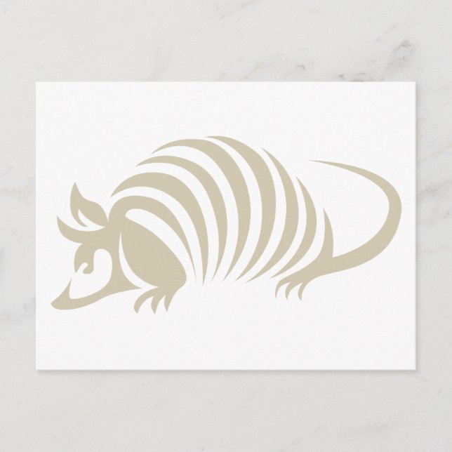 Creative Armadillo Illustration Postcard (Front)