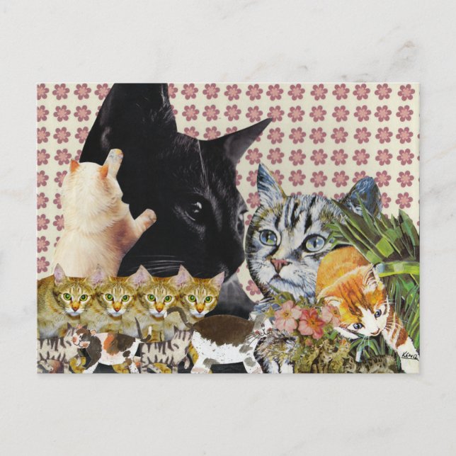 Creative Cats Postcard (Front)