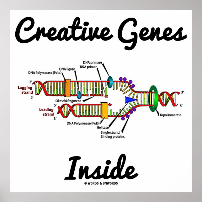 Creative Genes Inside (DNA Replication) Poster (Front)