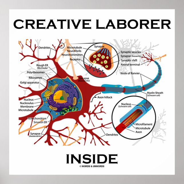Creative Laborer Inside (Neuron / Synapse) Poster (Front)