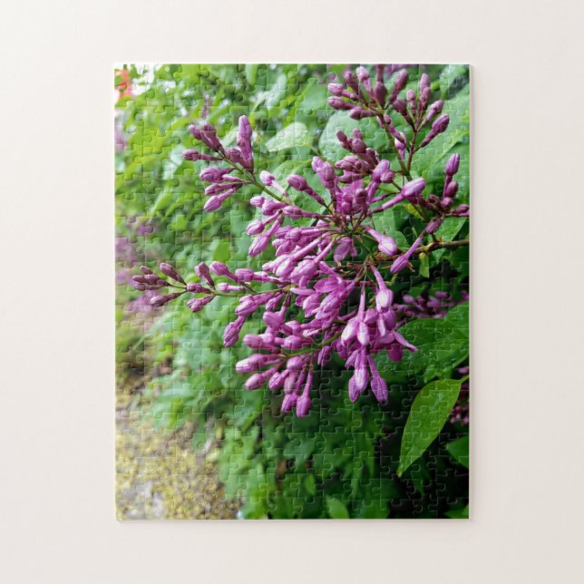 Creative light purple lilac photo jigsaw puzzle (Vertical)