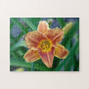 Creative pattern jigsaw puzzle