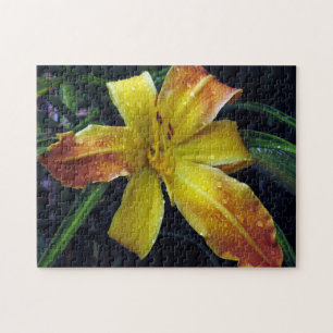 Creative pattern jigsaw puzzle