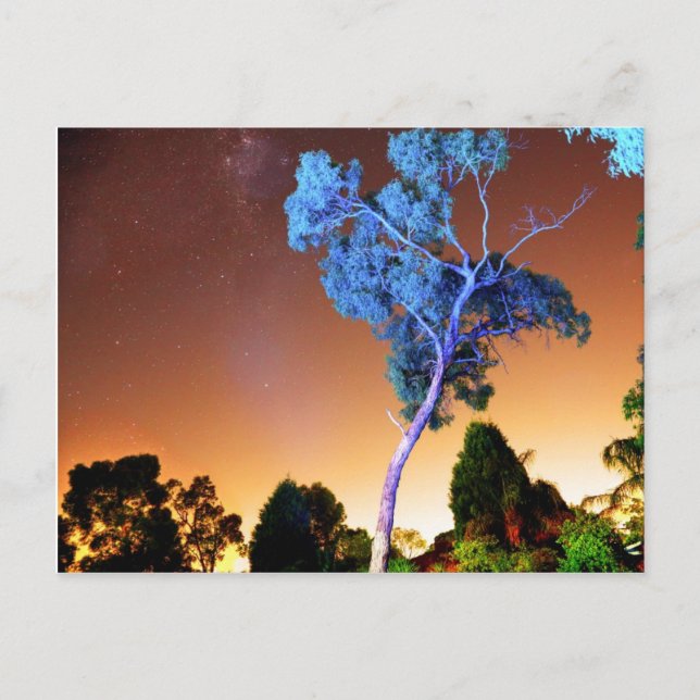 Creative Piece Postcard (Front)