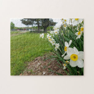 Creative white daffodil photo jigsaw puzzle