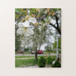 Creative white dogwood flower photo jigsaw puzzle