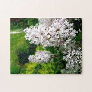 Creative wild flower walk photo jigsaw puzzle
