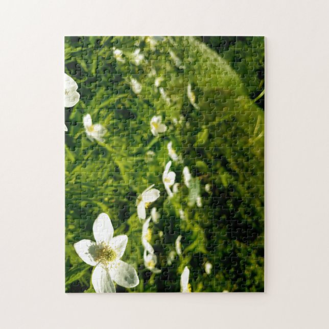 Creative wild flower walk photo jigsaw puzzle (Vertical)