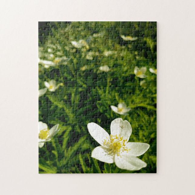 Creative wild flower walk photo jigsaw puzzle (Vertical)
