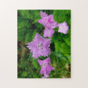 Creative wild flower walk photo jigsaw puzzle