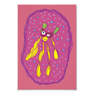 Creature dream Swimmer Kodak Professional Photo