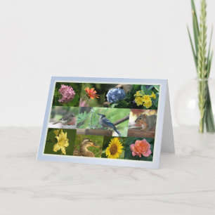 Creatures and Creation Collage Card