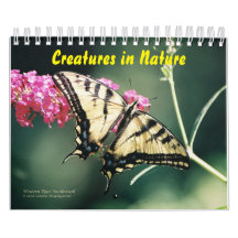 Creatures in Nature Calendar