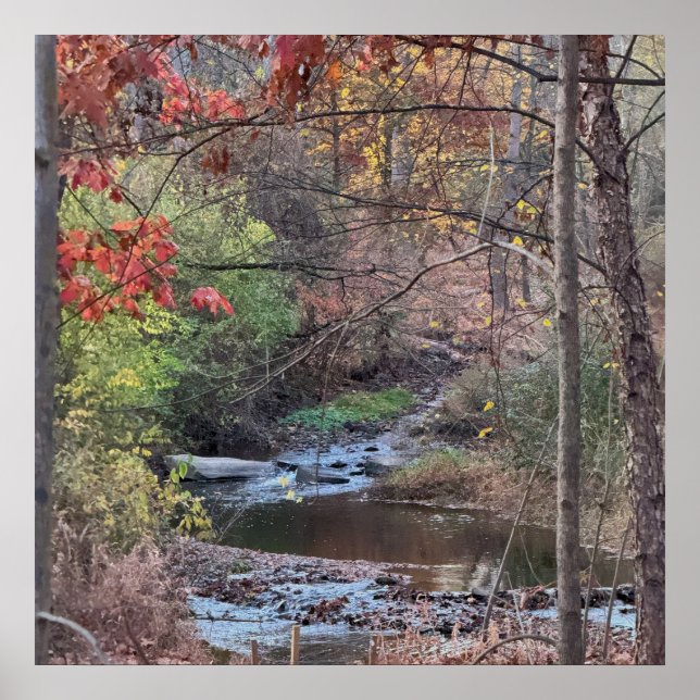 Creek Autumn Waterscape Poster (Front)
