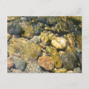 Creek Bed Postcard