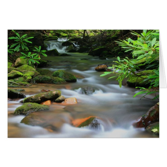 Creek Card (Front Horizontal)