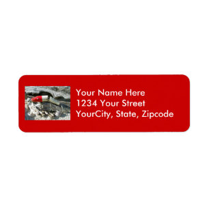 Creek Chub Pikie Redhead Jointed Lure Address Return Address Label