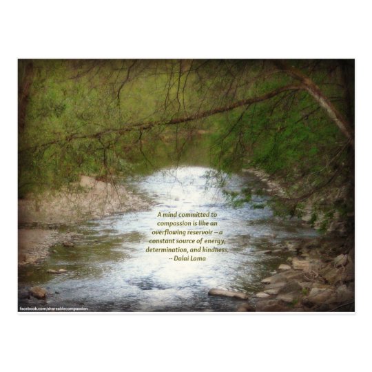 Creek & Dalai Lama Compassion Quote Postcard