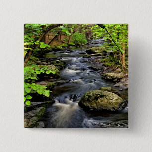 Creek flows through forest 15 cm square badge